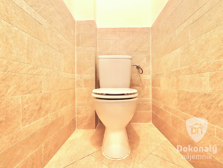 Pronájem bytu 2+kk 55 m² - foto 8
