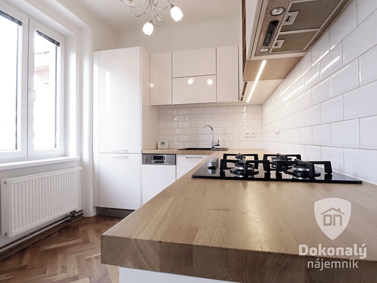 Pronájem bytu 2+kk 61 m² - foto 5