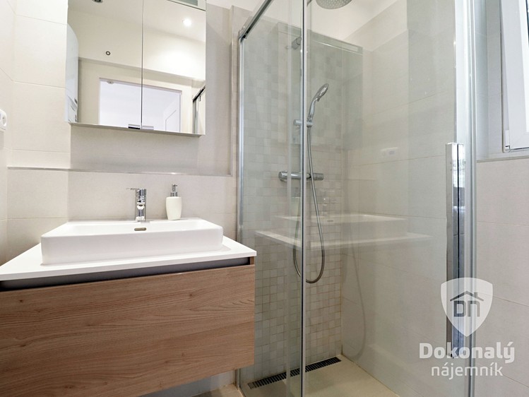 Pronájem bytu 2+kk 61 m² - foto 8