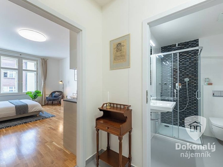 Pronájem bytu 1+kk 32 m² - foto 8