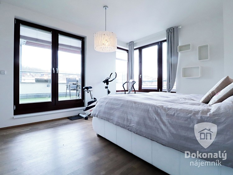 Pronájem bytu 4+kk 111 m² - foto 8