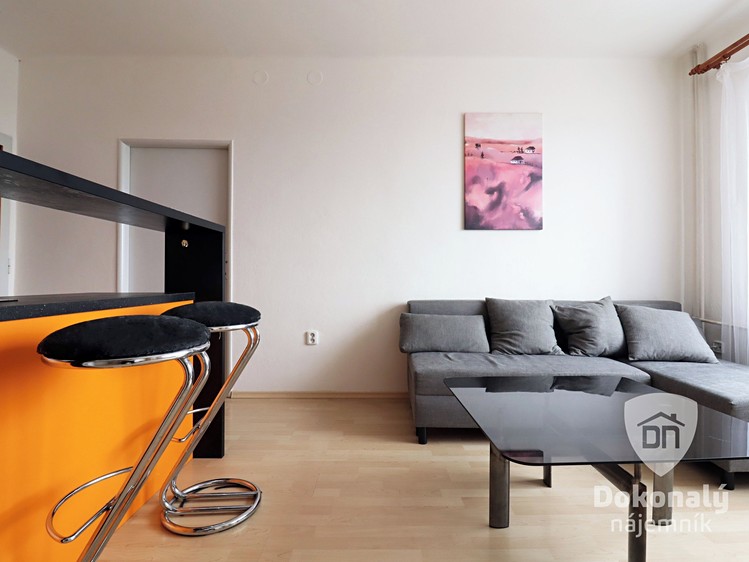 Pronájem bytu 2+kk 49 m² - foto 4