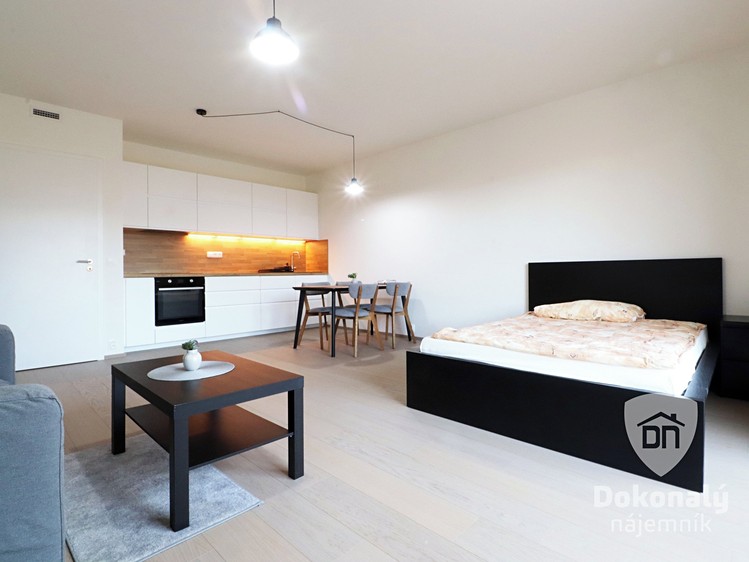 Pronájem bytu 1+kk 40 m² - foto 1