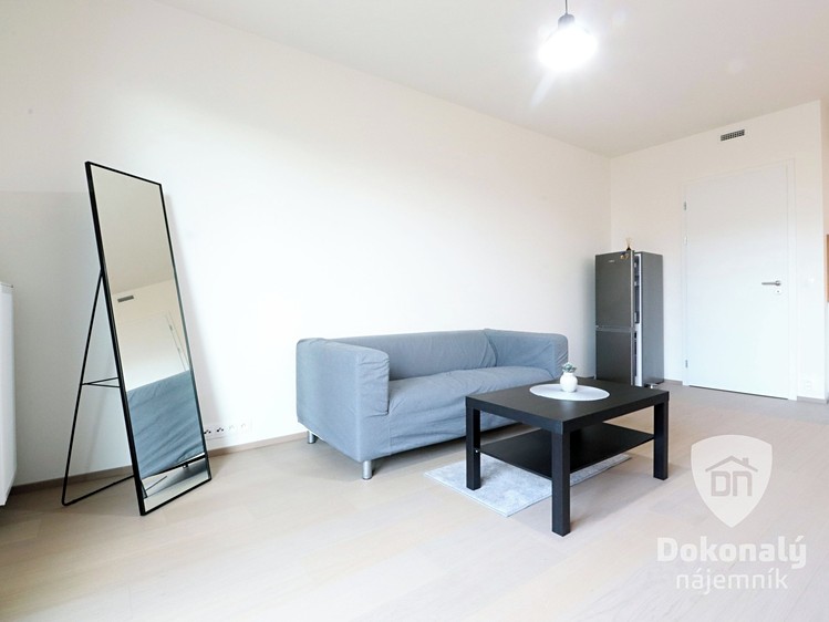 Pronájem bytu 1+kk 40 m² - foto 3