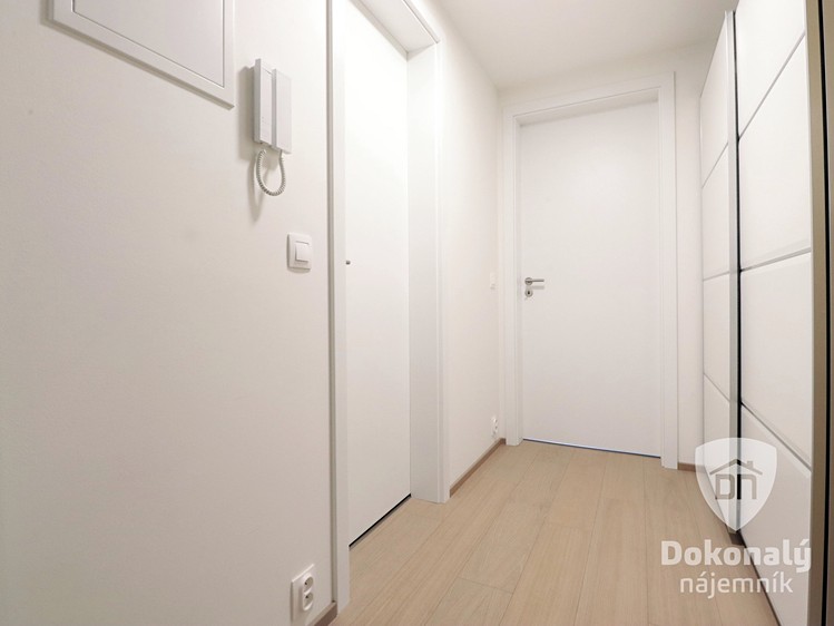 Pronájem bytu 1+kk 40 m² - foto 4
