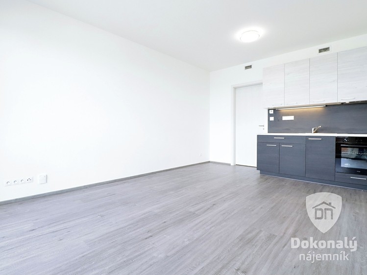 Pronájem bytu 1+kk 30 m² - foto 1