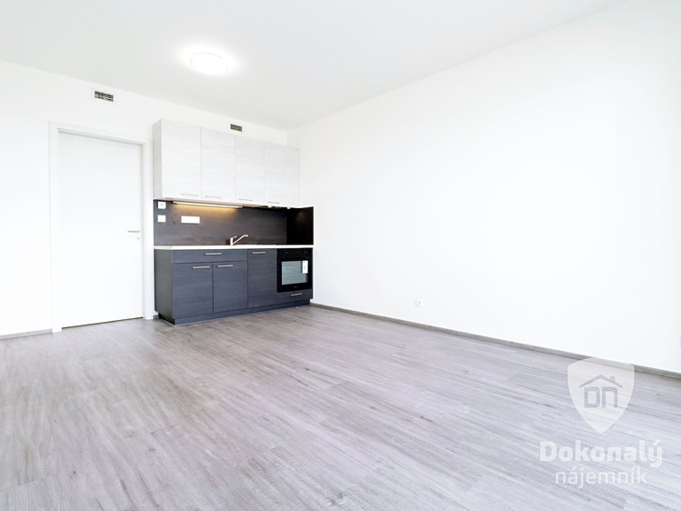 Pronájem bytu 1+kk 30 m² - foto 2