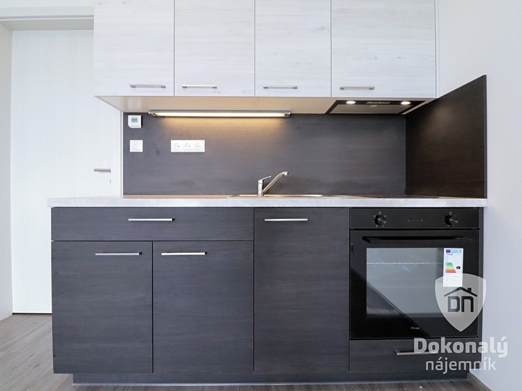 Pronájem bytu 1+kk 30 m² - foto 4