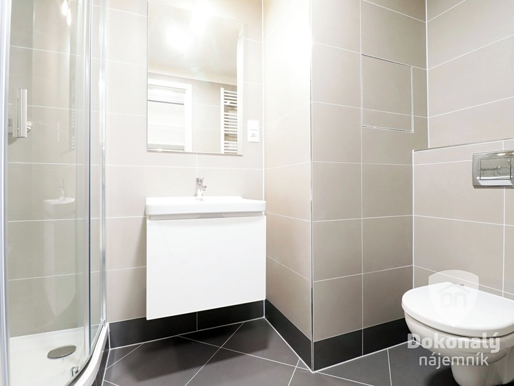 Pronájem bytu 1+kk 30 m² - foto 6