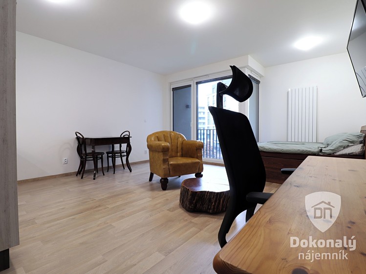 Pronájem bytu 1+kk 38 m² - foto 4