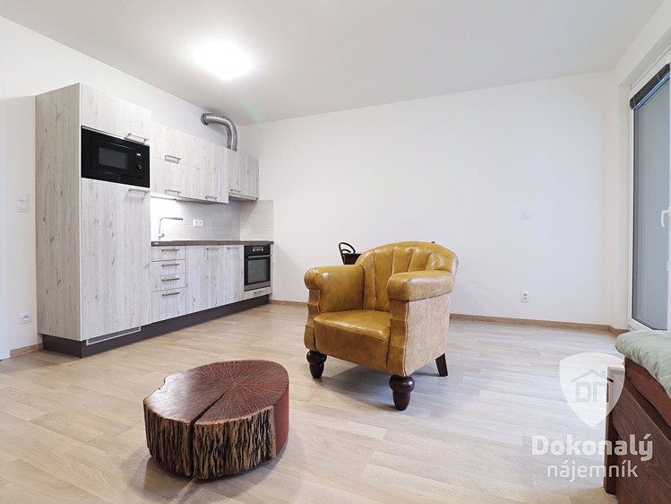 Pronájem bytu 1+kk 38 m² - foto 6
