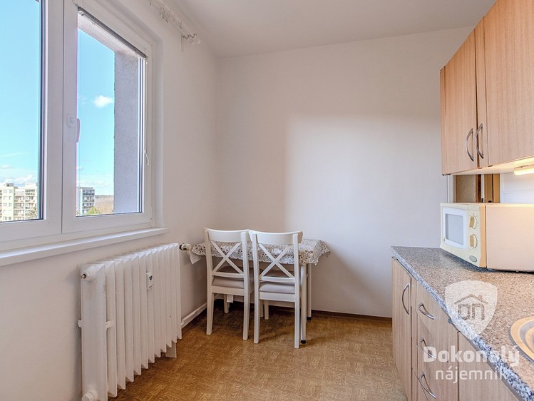 Pronájem bytu 2+1 55 m² - foto 7