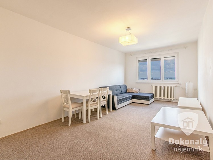 Pronájem bytu 2+1 55 m² - foto 8