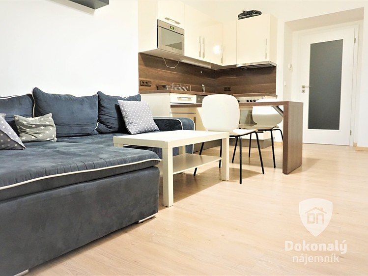 Pronájem bytu 3+kk 55 m² - foto 1