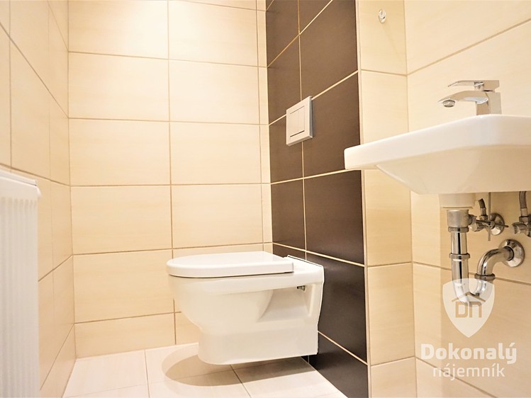 Pronájem bytu 3+kk 55 m² - foto 8
