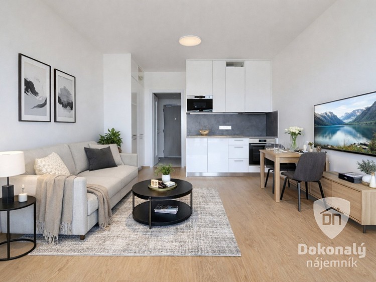 Pronájem bytu 1+kk 35 m² - foto 1