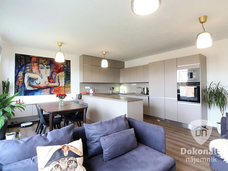 Pronájem bytu 3+kk 68 m² - foto 4