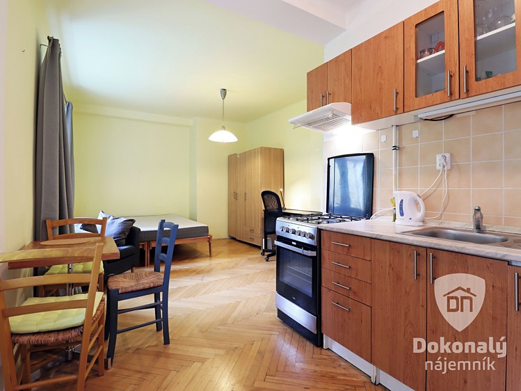 Pronájem bytu 1+kk 32 m² - foto 3