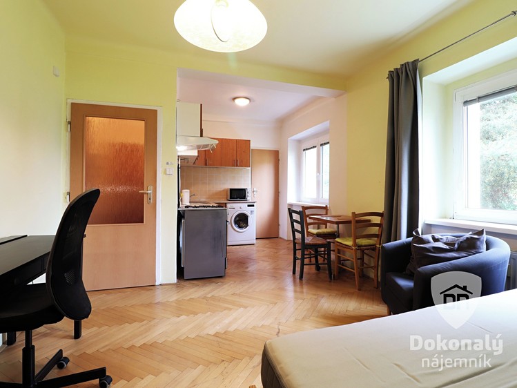 Pronájem bytu 1+kk 32 m² - foto 6