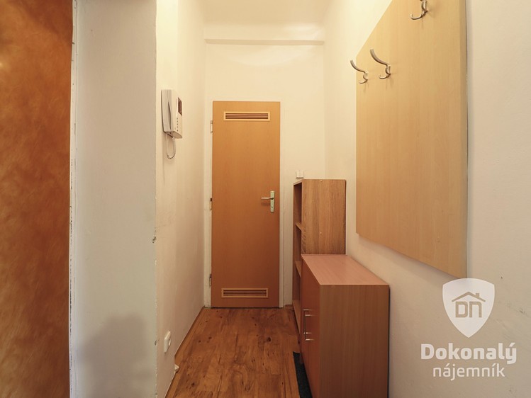 Pronájem bytu 1+kk 32 m² - foto 8