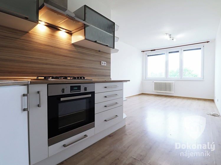 Pronájem bytu 2+kk 39 m² - foto 5