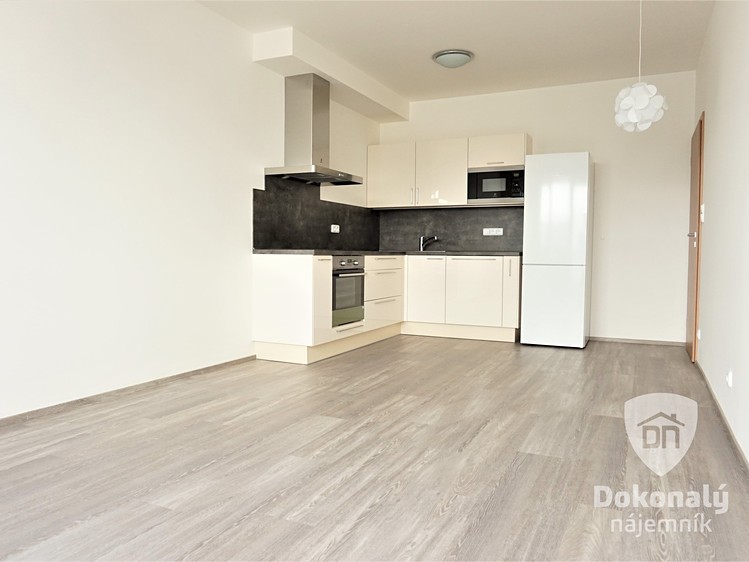 Pronájem bytu 2+kk 55 m² - foto 1