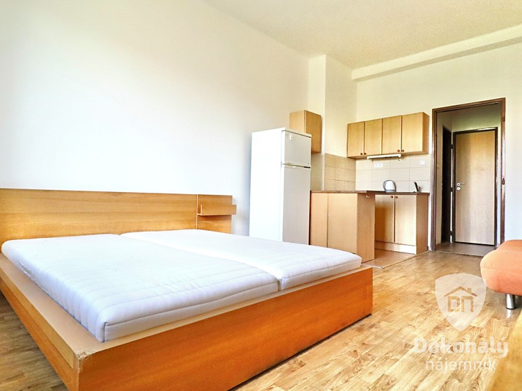 Pronájem bytu 1+kk 29 m² - foto 1