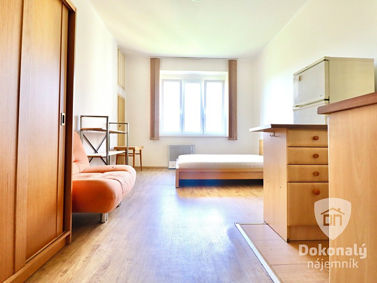 Pronájem bytu 1+kk 29 m² - foto 3