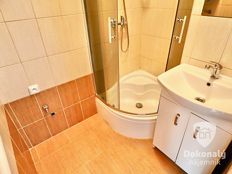 Pronájem bytu 1+kk 29 m² - foto 4