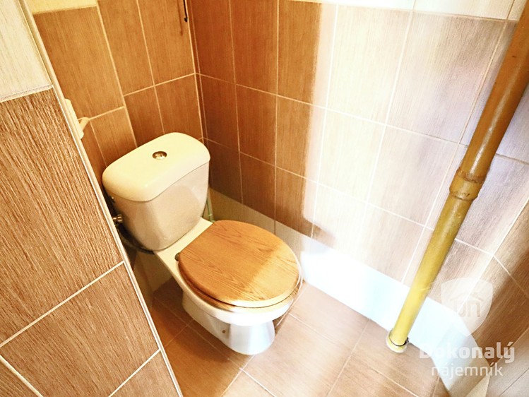 Pronájem bytu 1+kk 29 m² - foto 5