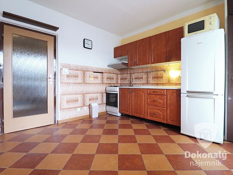 Pronájem bytu 3+1 66 m² - foto 4