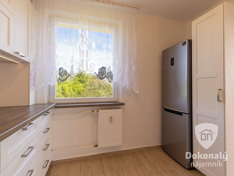 Pronájem bytu 3+1 72 m² - foto 8