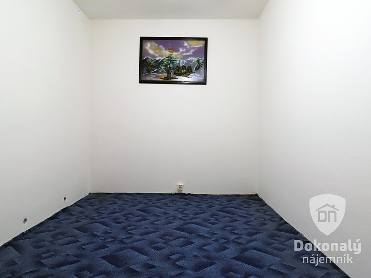 Pronájem bytu 2+1 67 m² - foto 8