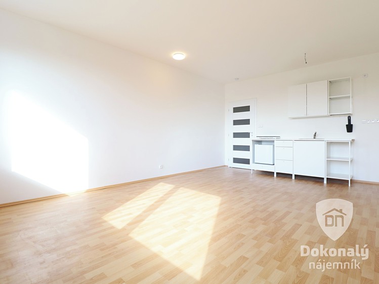 Pronájem bytu 1+kk 30 m² - foto 1