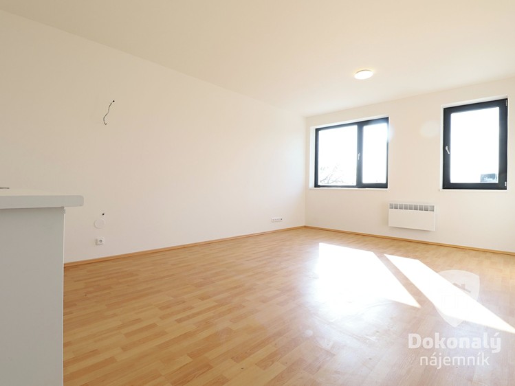 Pronájem bytu 1+kk 30 m² - foto 4