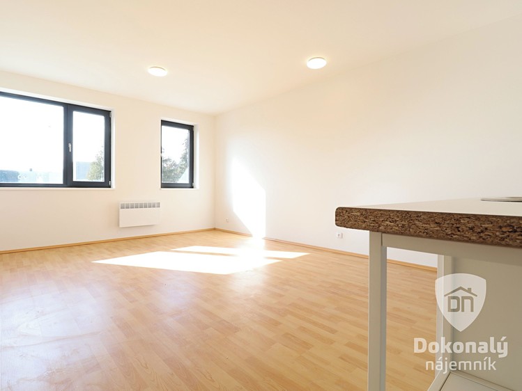 Pronájem bytu 1+kk 30 m² - foto 5