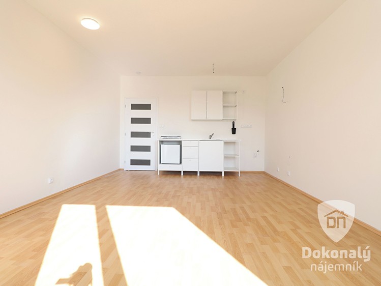 Pronájem bytu 1+kk 30 m² - foto 6