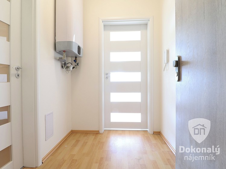 Pronájem bytu 1+kk 30 m² - foto 8