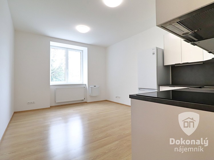Pronájem bytu 2+kk 43 m² - foto 4
