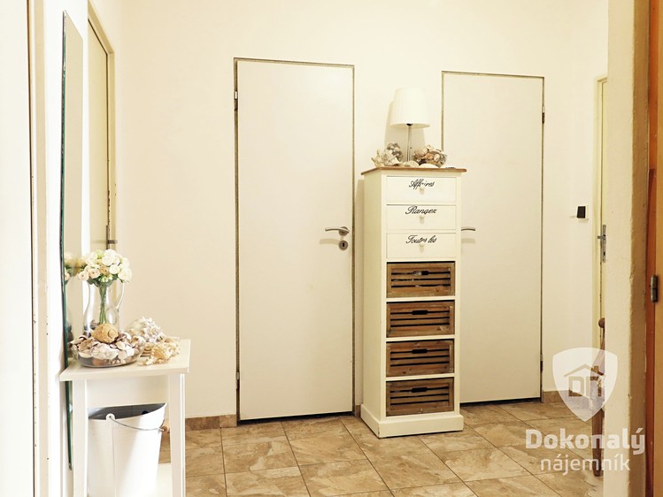 Pronájem bytu 3+1 76 m² - foto 4