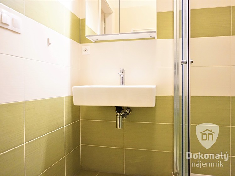 Pronájem bytu 1+kk 39 m² - foto 8