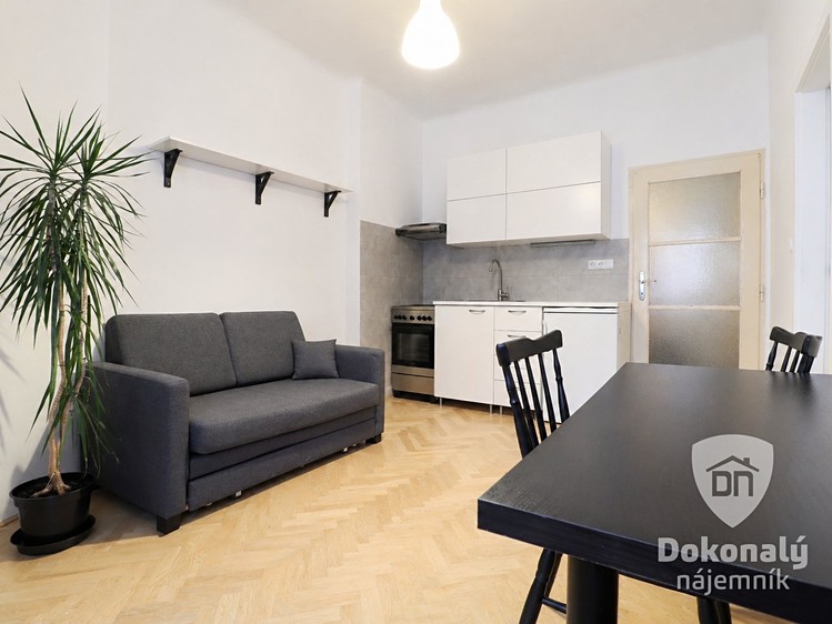 Pronájem bytu 1+1 39 m² - foto 1
