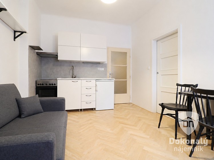 Pronájem bytu 1+1 39 m² - foto 4