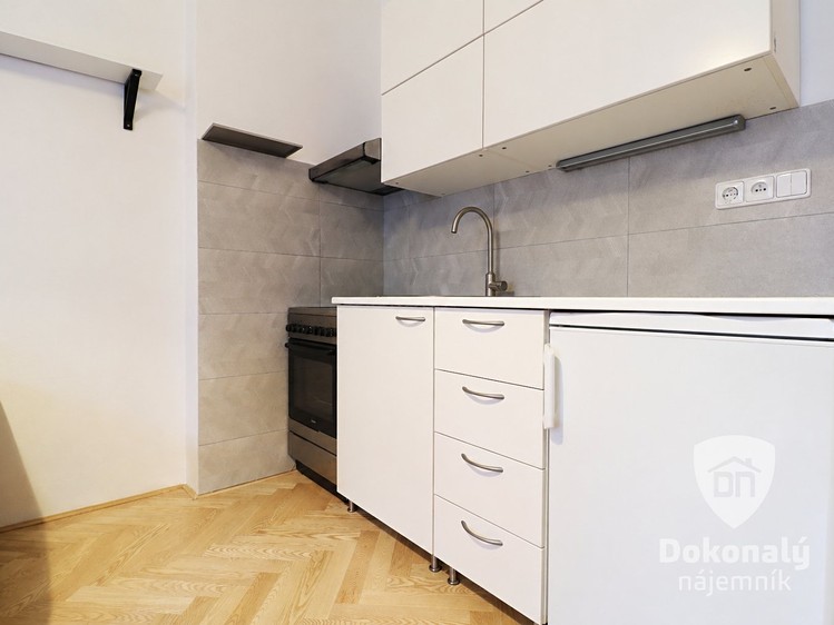 Pronájem bytu 1+1 39 m² - foto 5