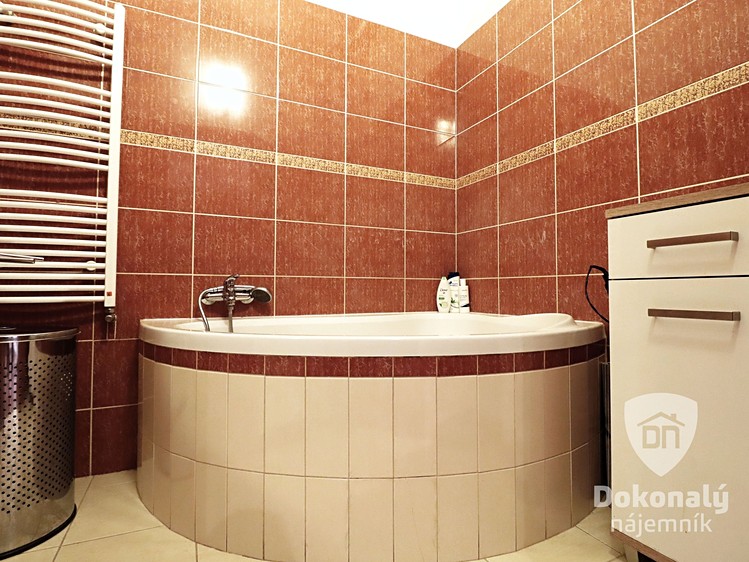 Pronájem bytu 2+kk 76 m² - foto 6
