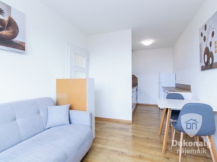 Pronájem bytu 2+kk 33 m² - foto 8