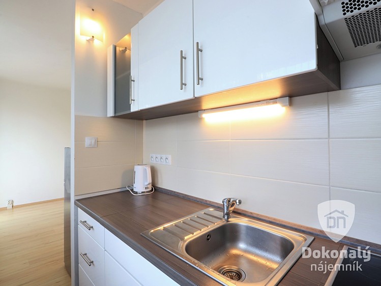 Pronájem bytu 1+kk 33 m² - foto 1