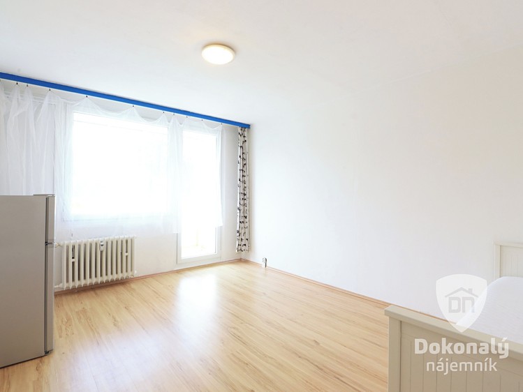 Pronájem bytu 1+kk 33 m² - foto 6