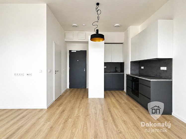 Pronájem bytu 1+kk 37 m² - foto 4
