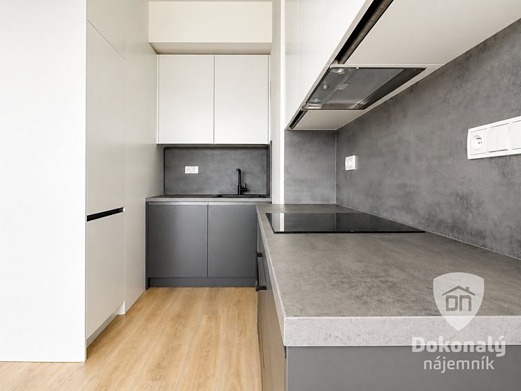 Pronájem bytu 1+kk 37 m² - foto 5